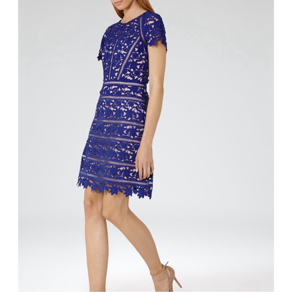 Reiss Orchid Lace Cocktail Dress in Sapphire - Picture 3 of 7